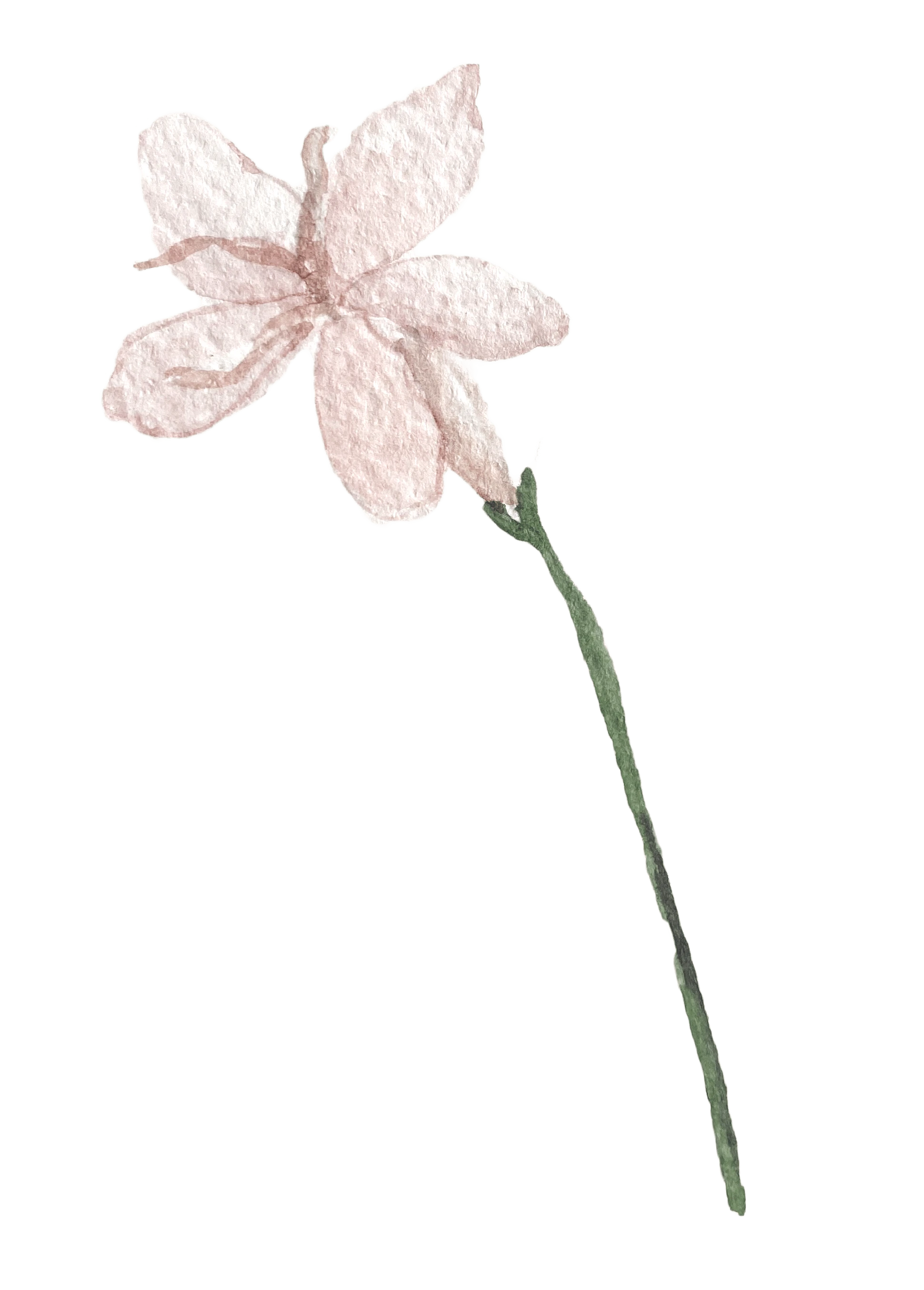 Flor decorativa 1