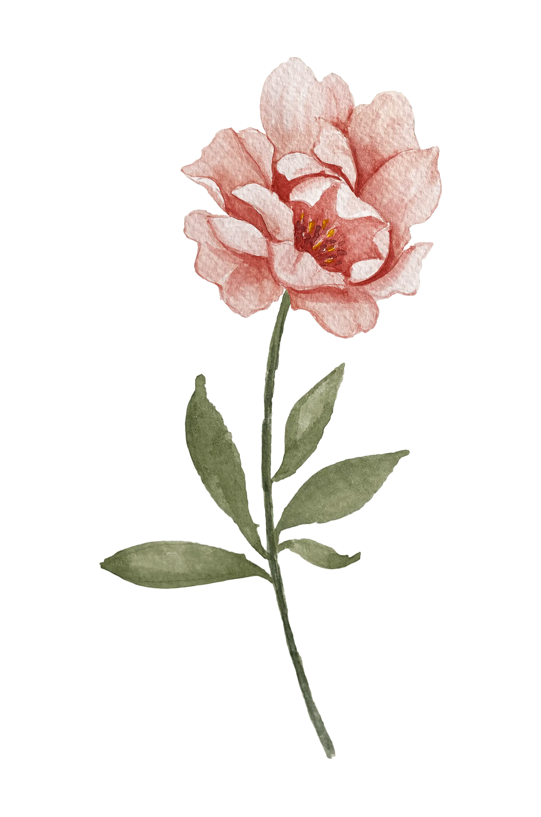 Flor decorativa 2
